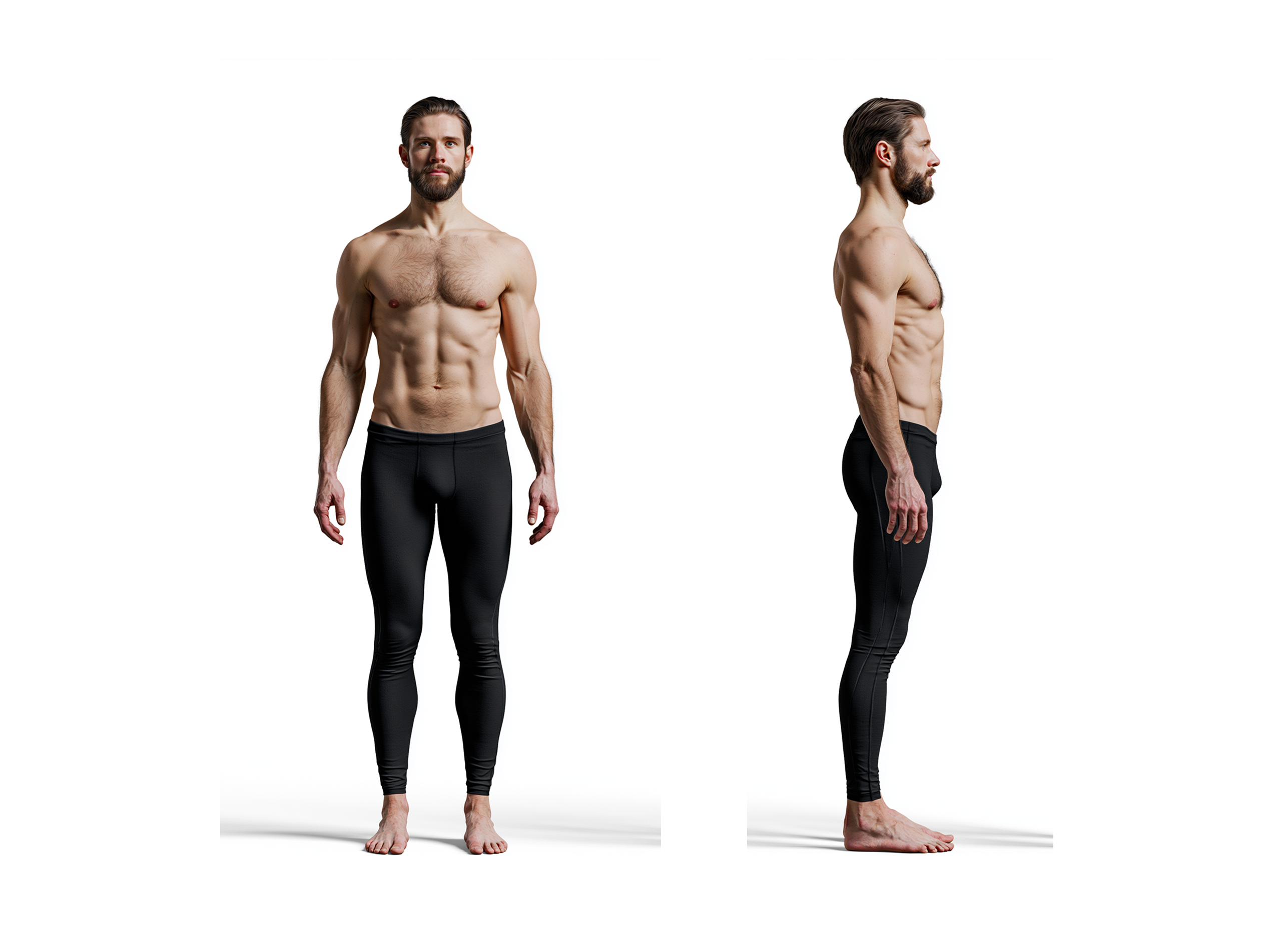 Mésomorphe endomorphique — 3.2-4.9-1.9